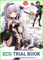 Combatants Will Be Dispatched!, Vol. 6 (light novel) (Combatants Will Be Dispatched! (light novel))