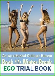 An Accidental College Harem Book 11: Winter break: A college-age fun harem romance for men
