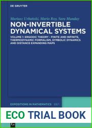 Non-Invertible Dynamical Systems