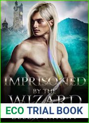 Imprisoned by the Wizard: An M M Fairytale Romance