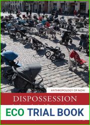 Dispossession (Anthropology of Now)