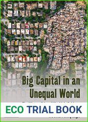 Big Capital in an Unequal World: The Micropolitics of Wealth in Pakistan (Dislocations Book 29)