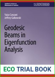 Geodesic Beams in Eigenfunction Analysis (Synthesis Lectures on Mathematics and Statistics)