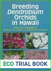 Breeding Dendrobium Orchids in Hawaii