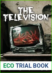 The Television