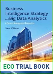 Business Intelligence Strategy and Big Data Analytics: A General Management Perspective