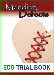 Mending Defects (Aspen Friends Book 1)