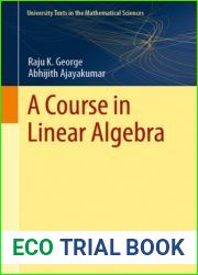 A Course in Linear Algebra (University Texts in the Mathematical Sciences)