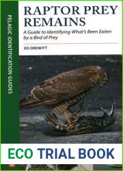 Raptor Prey Remains: A Guide to Identifying What|s Been Eaten by a Bird of Prey
