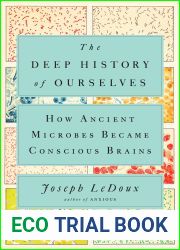 The Deep History of Ourselves: The Four-Billion-Year Story of How We Got Conscious Brains