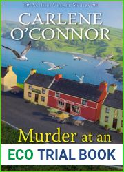 Murder at an Irish Chipper (Irish Village Mystery, #10)
