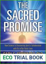 The Sacred Promise: How Science Is Discovering Spirit|s Collaboration with Us in Our Daily Lives