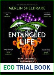 Entangled Life (The Illustrated Edition): A beautiful new edition of the Sunday Times bestseller featuring 100 illustrations
