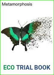 Metamorphosis (The Velvet, #3)