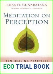 Meditation on Perception: Ten Healing Practices to Cultivate Mindfulness