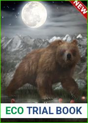 Two Hearts (Brought to Bear Book 1)