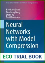 Neural Networks with Model Compression (Computational Intelligence Methods and Applications)