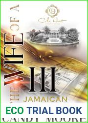 The Wife Of A Jamaican Billionaire 3: An African American Romance: The Finale