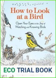 How to Look at a Bird: Open Your Eyes to the Joy of Watching and Knowing Birds