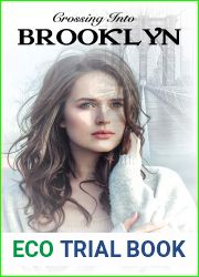 Crossing Into Brooklyn (Brooklyn, #1)