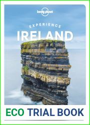 Lonely Planet Experience Ireland 1 (Travel Guide)