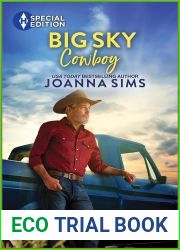 Big Sky Cowboy (The Brands of Montana, 14)