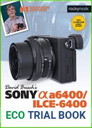 David Busch|s Sony Alpha a6400 ILCE-6400 Guide to Digital Photography (The David Busch Camera Guide Series)