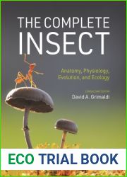 The Complete Insect: Anatomy, Physiology, Evolution, and Ecology