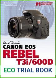 David Busch|s Canon EOS Rebel T3i 600D Guide to Digital SLR Photography (David Busch|s Digital Photography Guides)