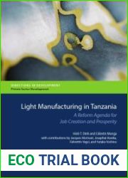 Light Manufacturing in Tanzania