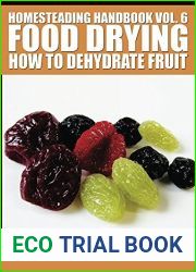 Homesteading Handbook vol. 6 Food Drying: How to Dehydrate Fruit (Homesteading Handbooks)