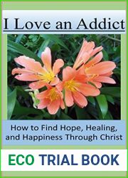I Love an Addict: How to Find Hope, Healing, and Happiness Through Christ