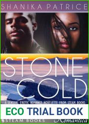 Stone Cold - A Sexy Erotic Romance Novelette from Steam Books