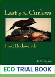 Last of the Curlews