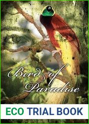 Bird of Paradise