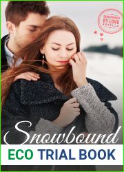 Snowbound (Discovered by Love #3)