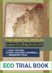 The Bristol Merlin: Revealing the Secrets of a Medieval Fragment (Medieval Media and Culture)