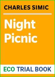 Night Picnic