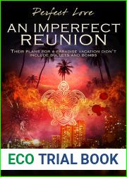 An Imperfect Reunion (Perfect Love, #6)