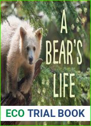 A Bear|s Life (My Great Bear Rainforest, 2)