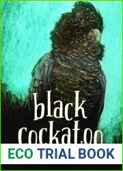 Black Cockatoo