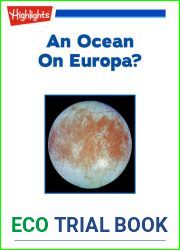An Ocean on Europa?