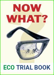 Now What?: Quandaries of Art and the Radical Past