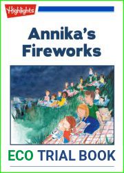 Annika|s Fireworks