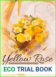 Yellow Rose