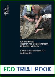 A Celtic Feast: The Iron Age Cauldrons from Chiseldon, Wiltshire (British Museum Research Publications)