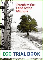 Joseph in the Land of the Mizraim