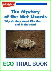 The Mystery of the Wet Lizards