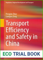 Transport Efficiency and Safety in China (Population, Regional Development and Transport)