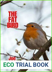 The Fat Bird